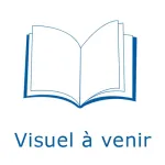 L'écroulement de la Baliverna