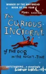 The Curious Incident of the Dog in the Nigt-Tme