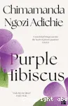 Purple hibiscus