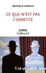 Ce que n'est pas l'identité
