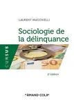 Sociologie de la délinquance